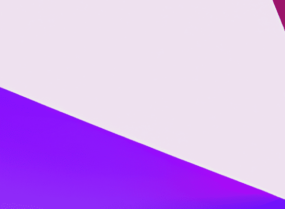 How Political Messaging Shapes Voter Behavior in France